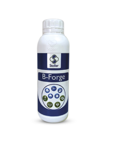 B-Forge / 1.5% Mo, 1% Co / Stoller / 1l, l